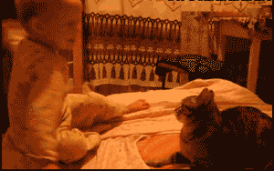 20130428020629443.gif