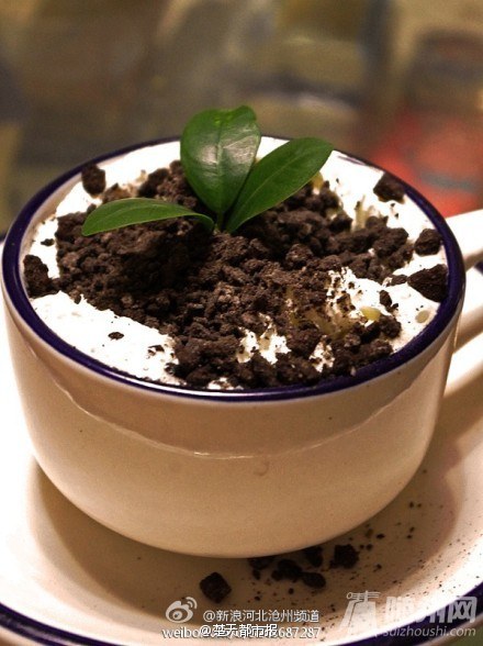 DIY盆栽奶茶