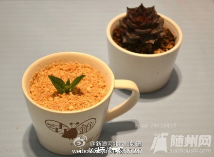 DIY盆栽奶茶