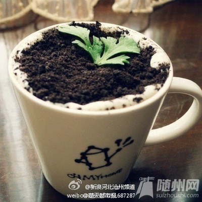 DIY盆栽奶茶