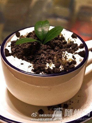DIY盆栽奶茶