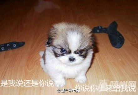 幽默笑话 ：快开学咯