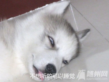 幽默笑话 ：快开学咯