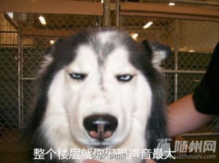 幽默笑话 ：快开学咯