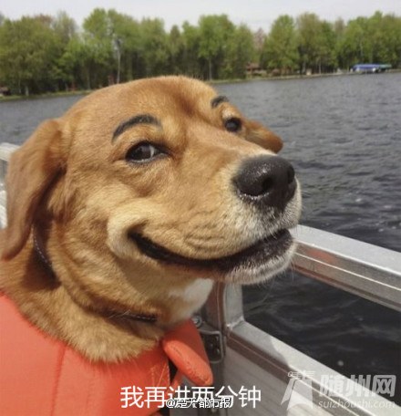 幽默笑话 ：快开学咯
