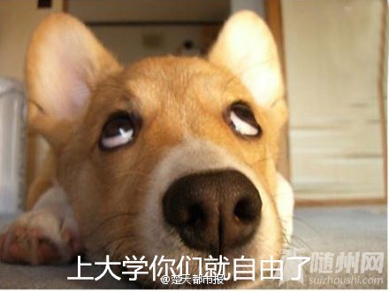 幽默笑话 ：快开学咯