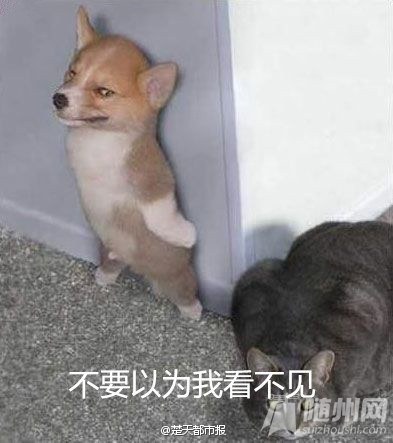 幽默笑话 ：快开学咯