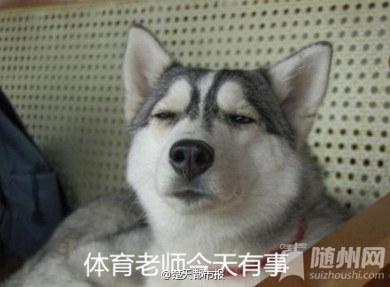 幽默笑话 ：快开学咯
