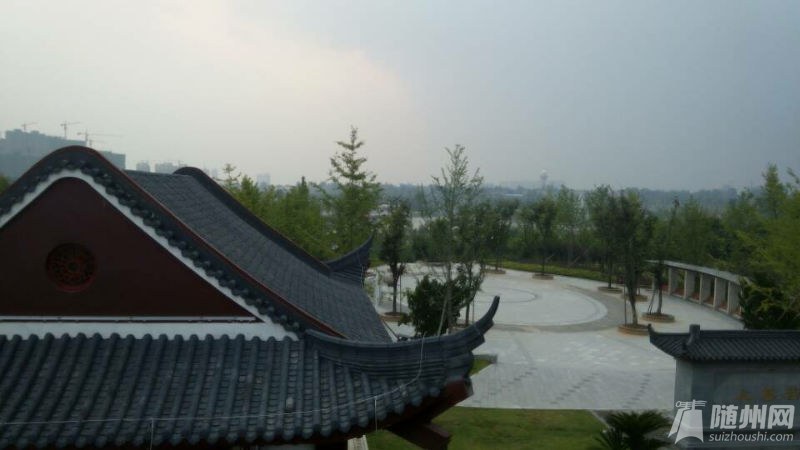 mmexport1409213951197.jpg