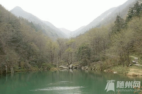 11_conew1.gif
