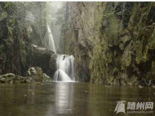 12_conew1.gif