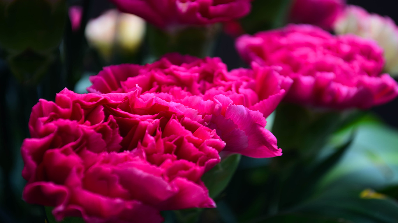 DSC_0687_.jpg