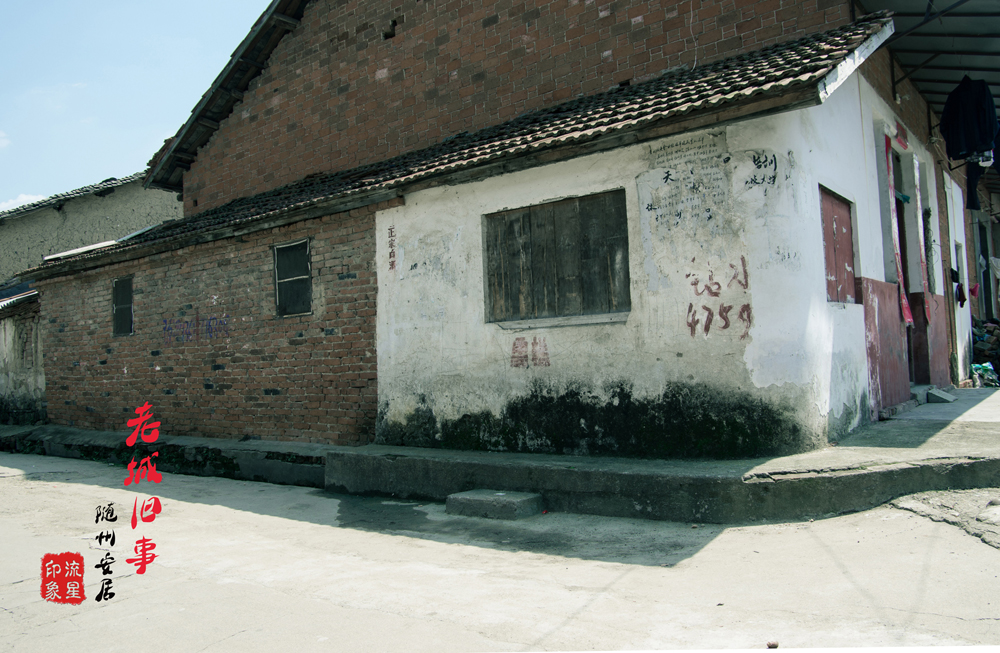 IMGP2069.jpg