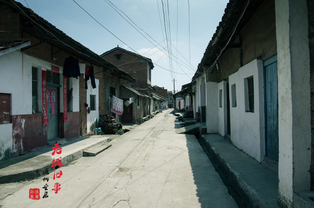 IMGP2071.jpg