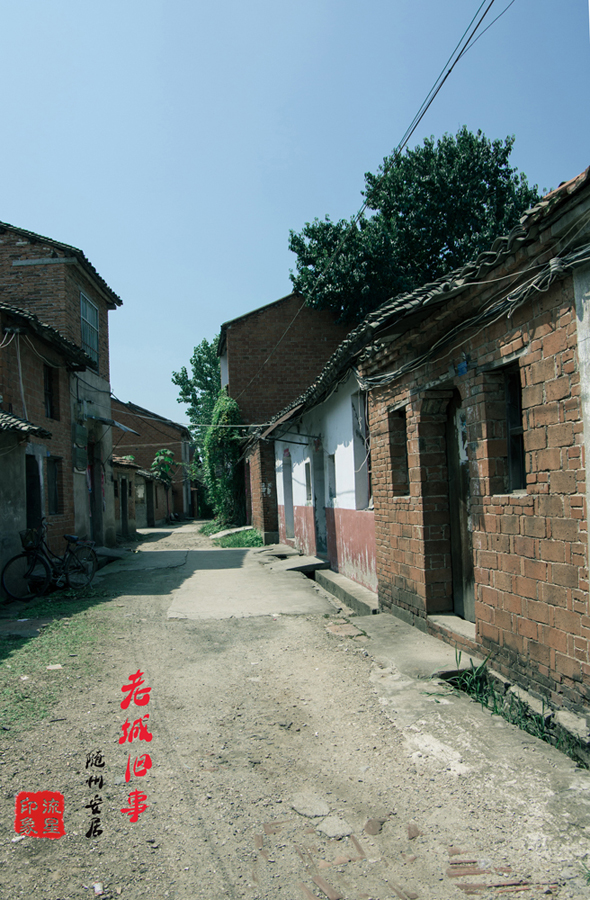 IMGP2072.jpg