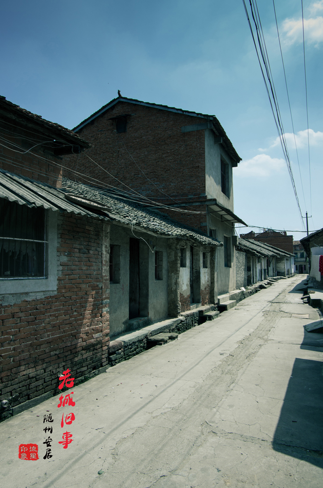 IMGP2087.jpg