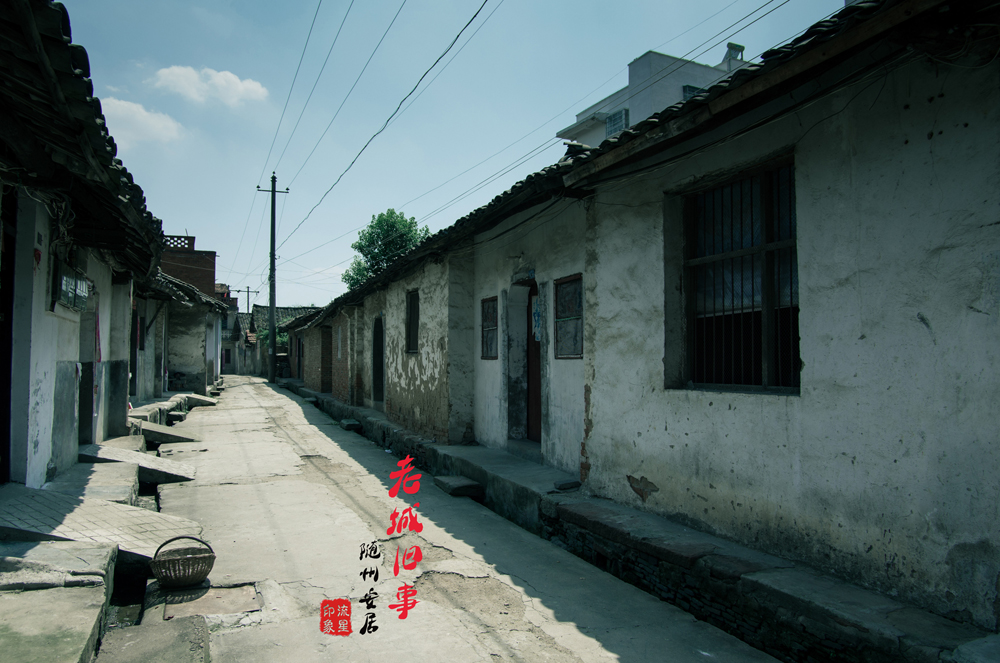 IMGP2089.jpg