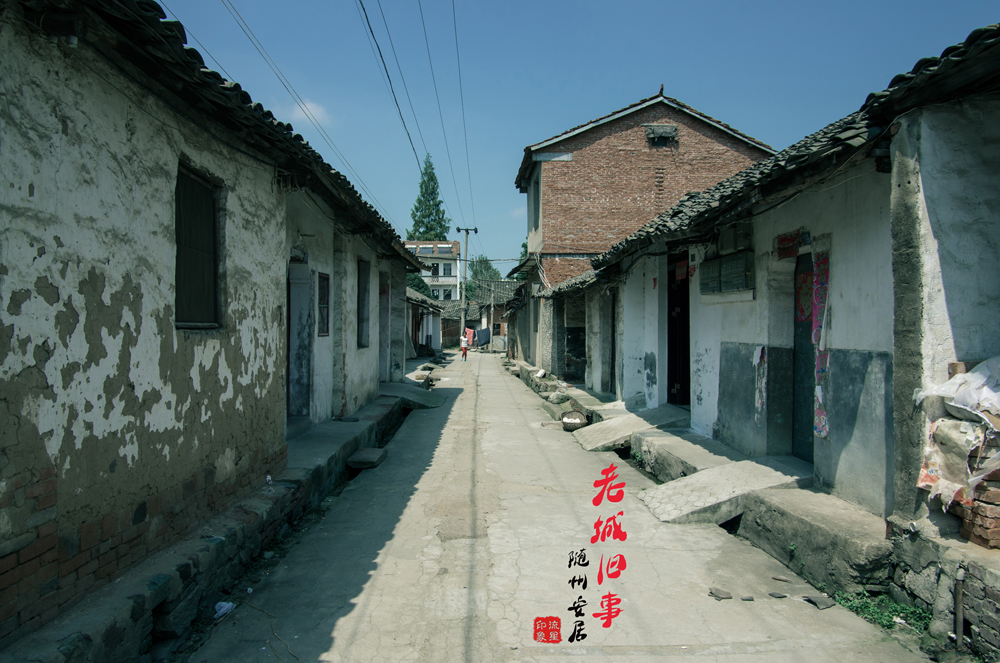 IMGP2091.jpg