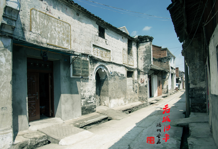 IMGP2105.jpg