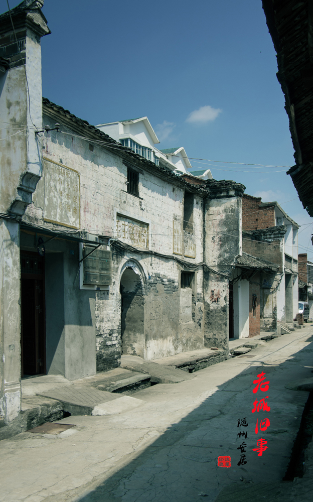 IMGP2107.jpg