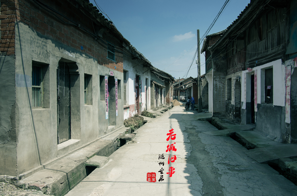 IMGP2115.jpg