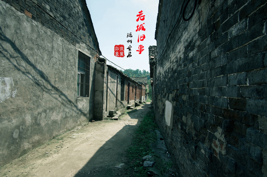 IMGP2117.jpg