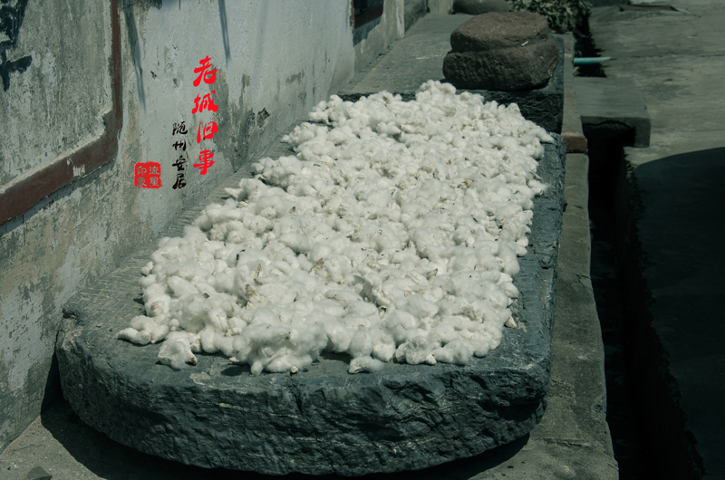 IMGP2129.jpg