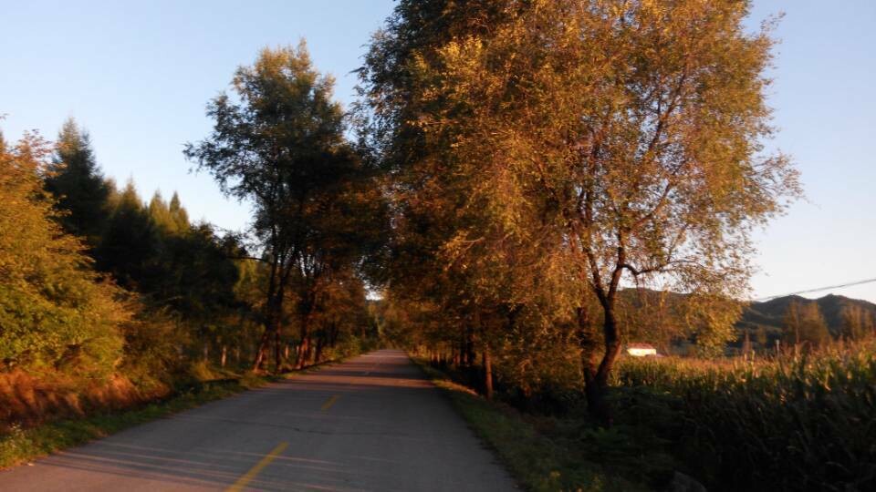 QQ图片20140911103742.jpg