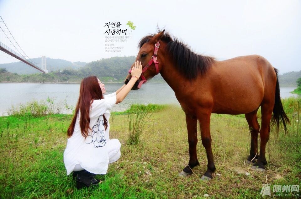 QQͼƬ20140915122812.jpg