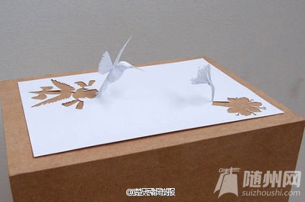一张A4纸还能这样玩