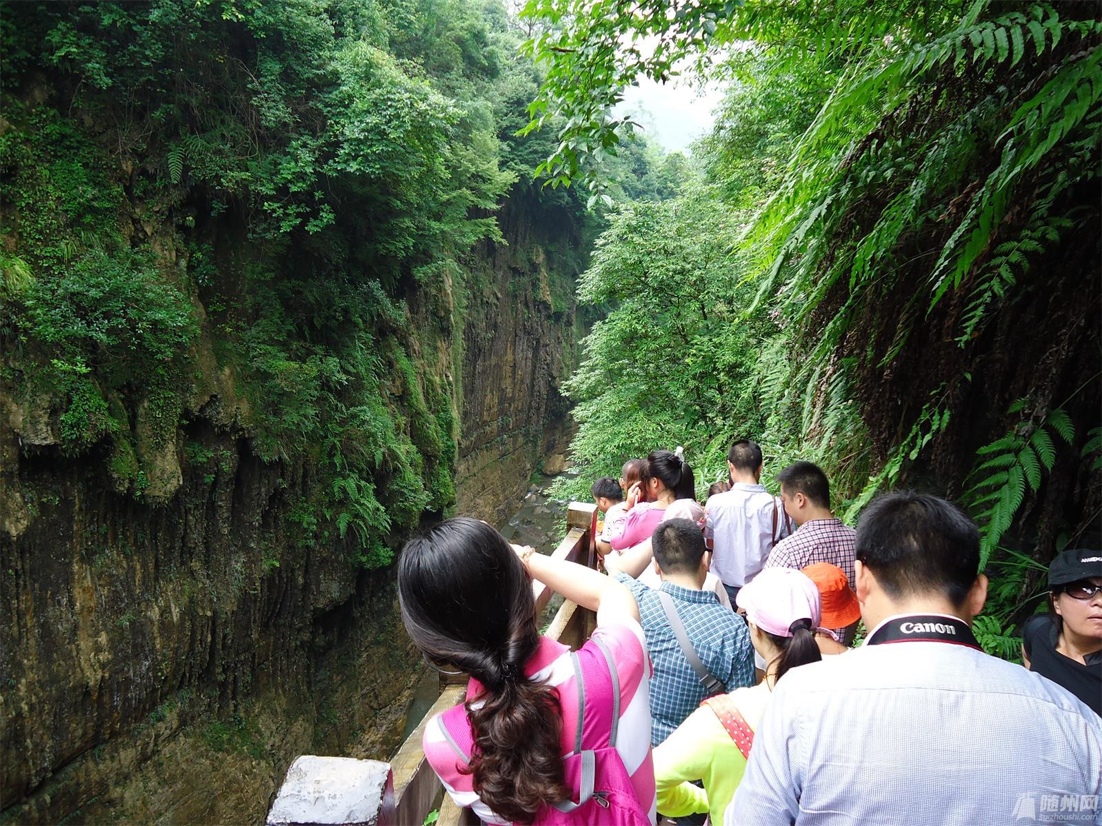 DSC03101.JPG