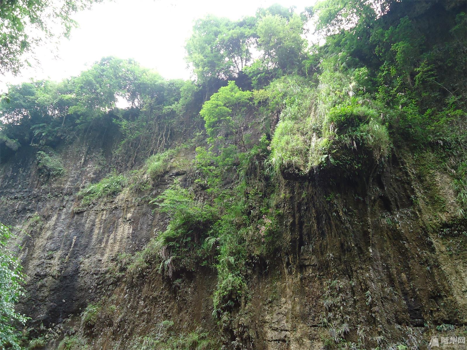 DSC03111.JPG