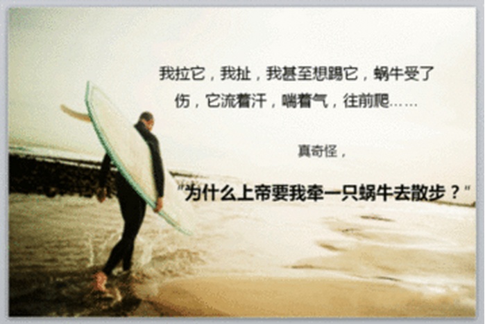 (8_Q)RWM%(@11{E70ZPL_conew1.jpg