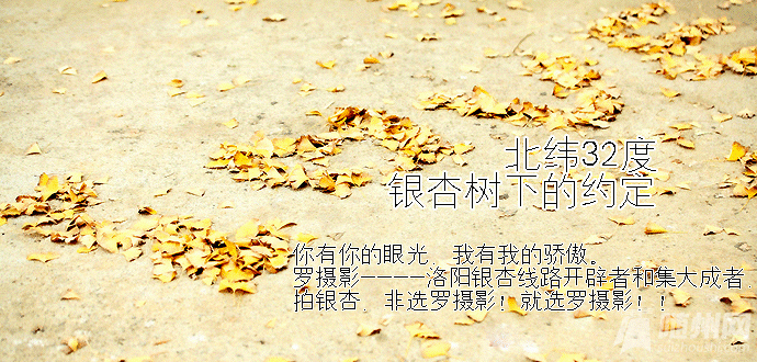 4.gif