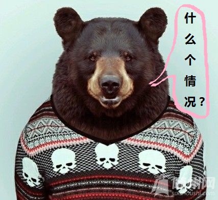 2013092915372861d53.jpg