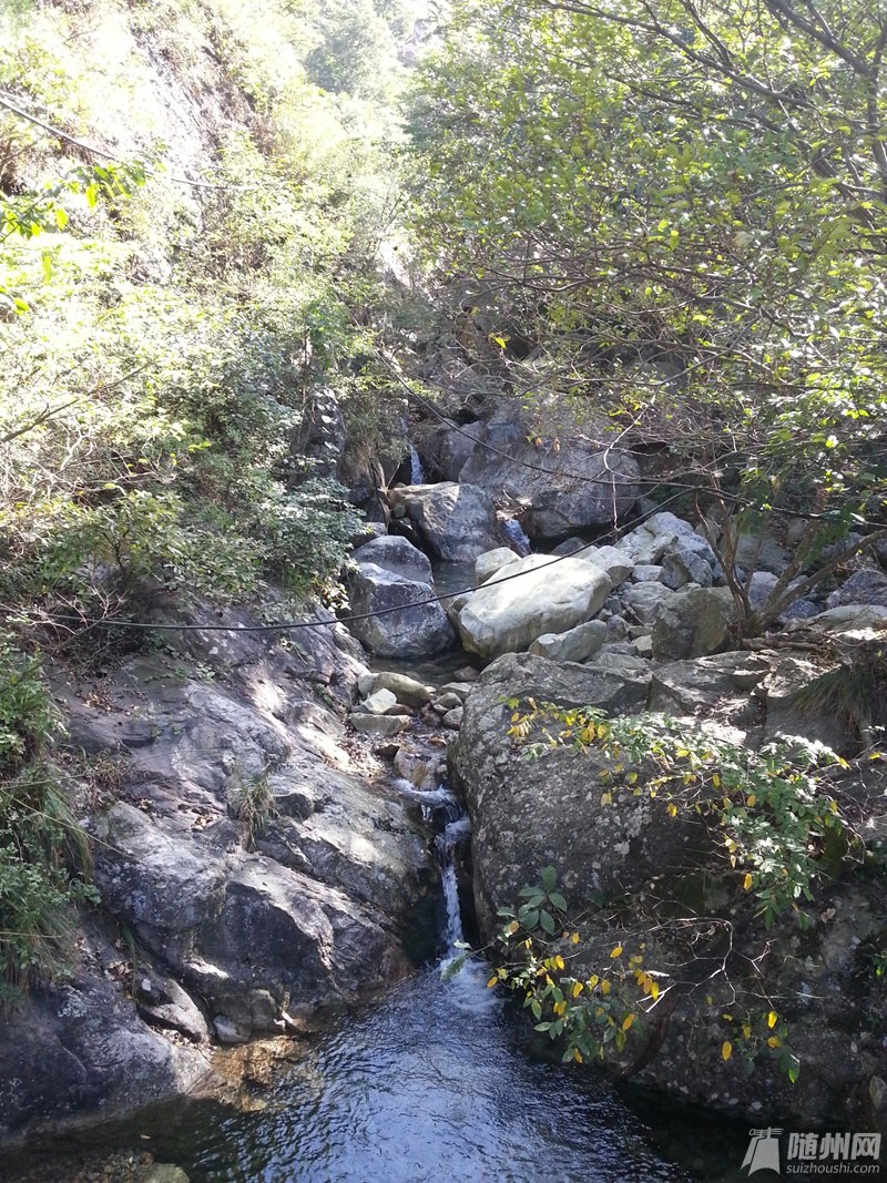 20141003_092718.jpg