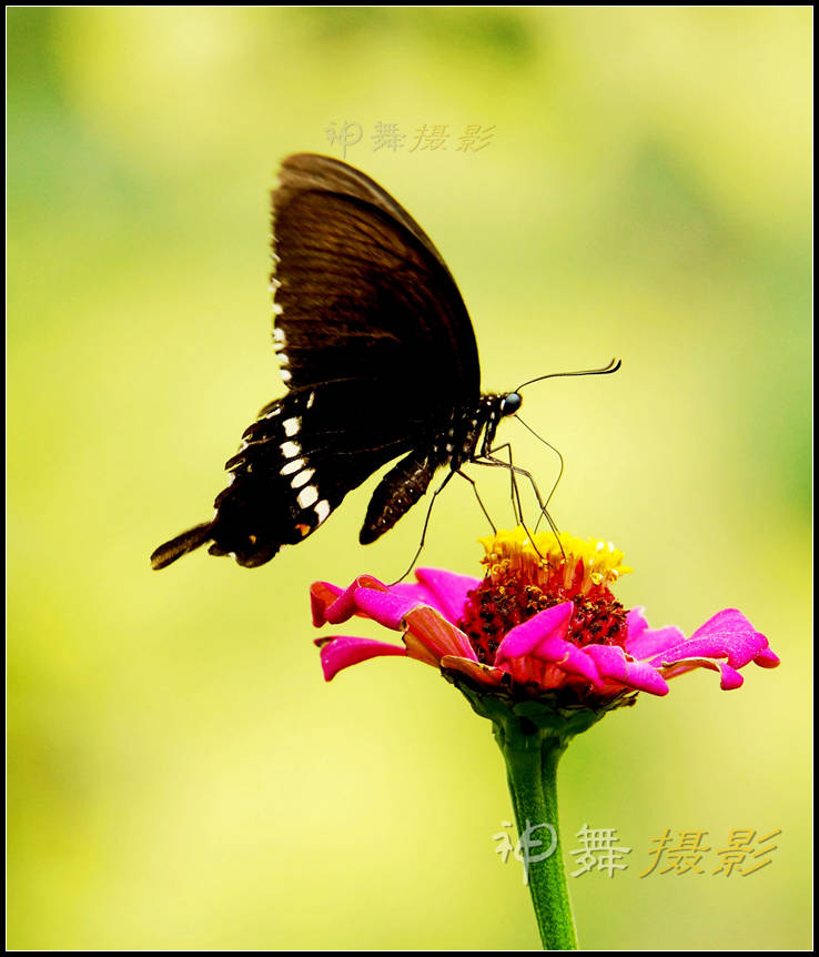 DSC07923_副本.jpg