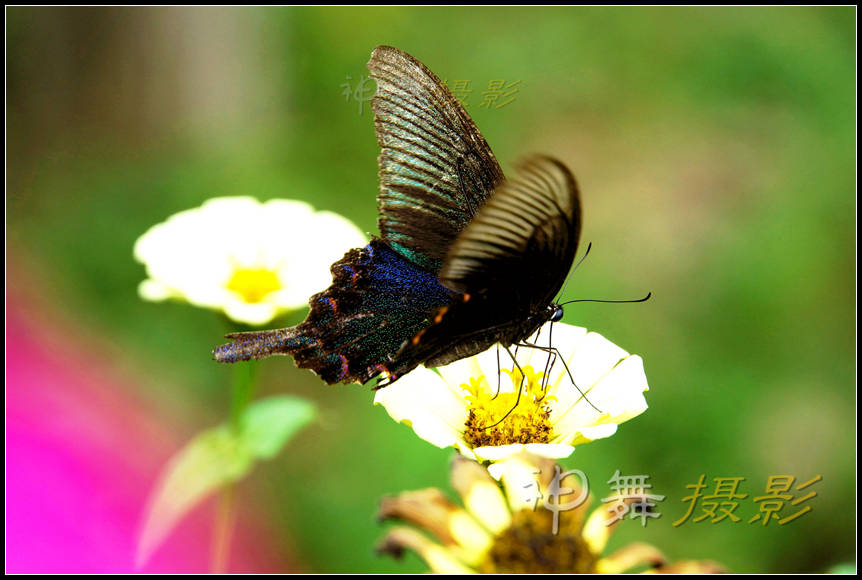 DSC07904_副本.jpg