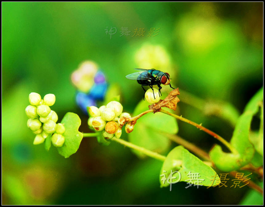 DSC07878_副本.jpg