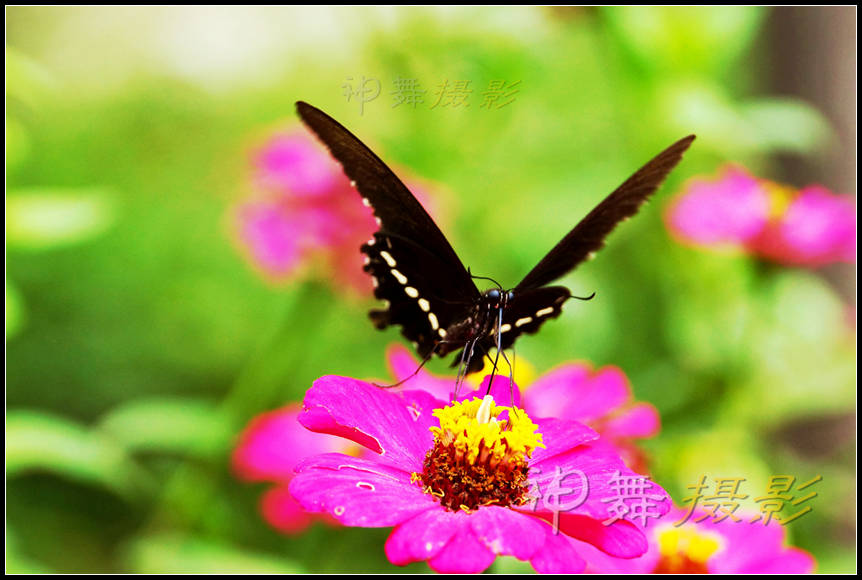 DSC07920_副本.jpg