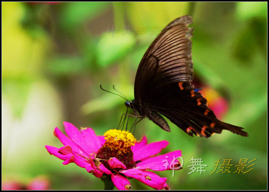 DSC07910_副本.jpg