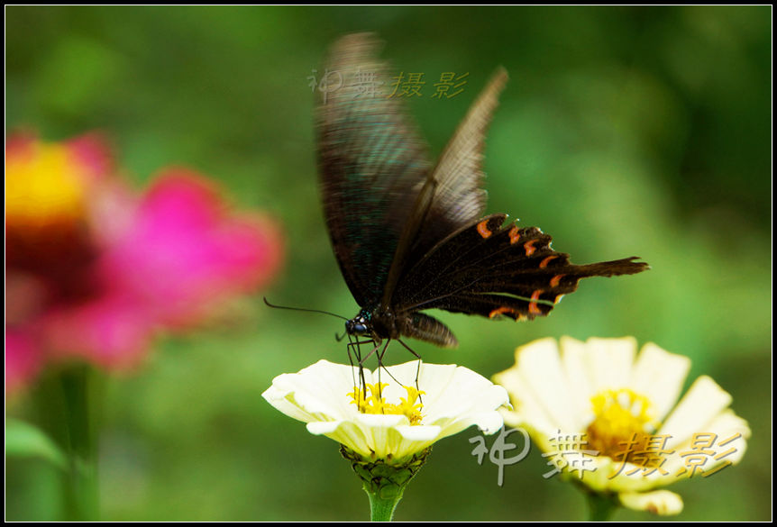 DSC07896_副本.jpg