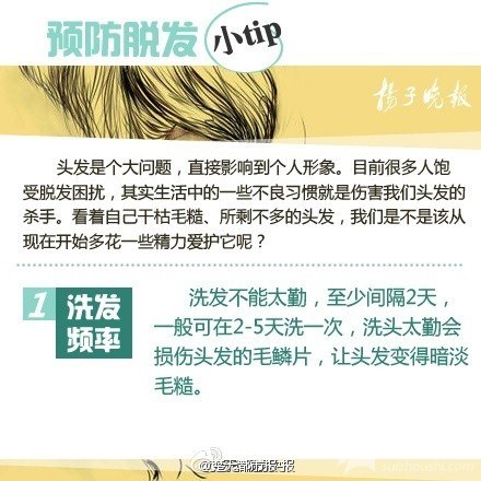 求头发君不抛弃
