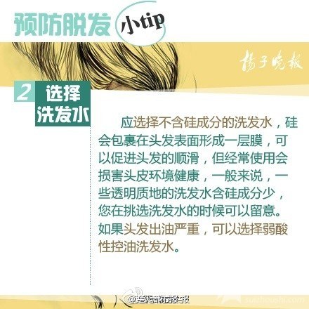求头发君不抛弃