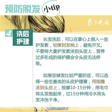 求头发君不抛弃