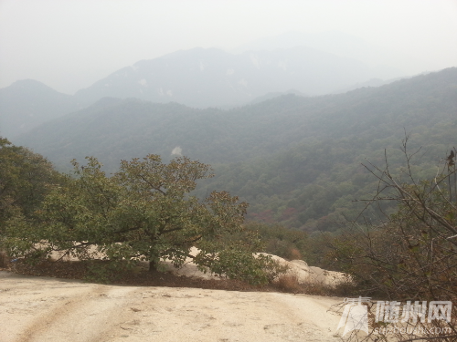20141019_113827.jpg