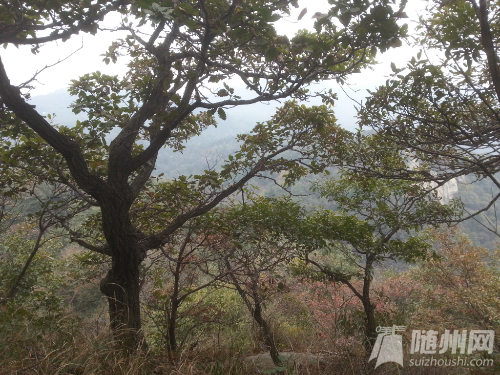 20141019_122030.jpg