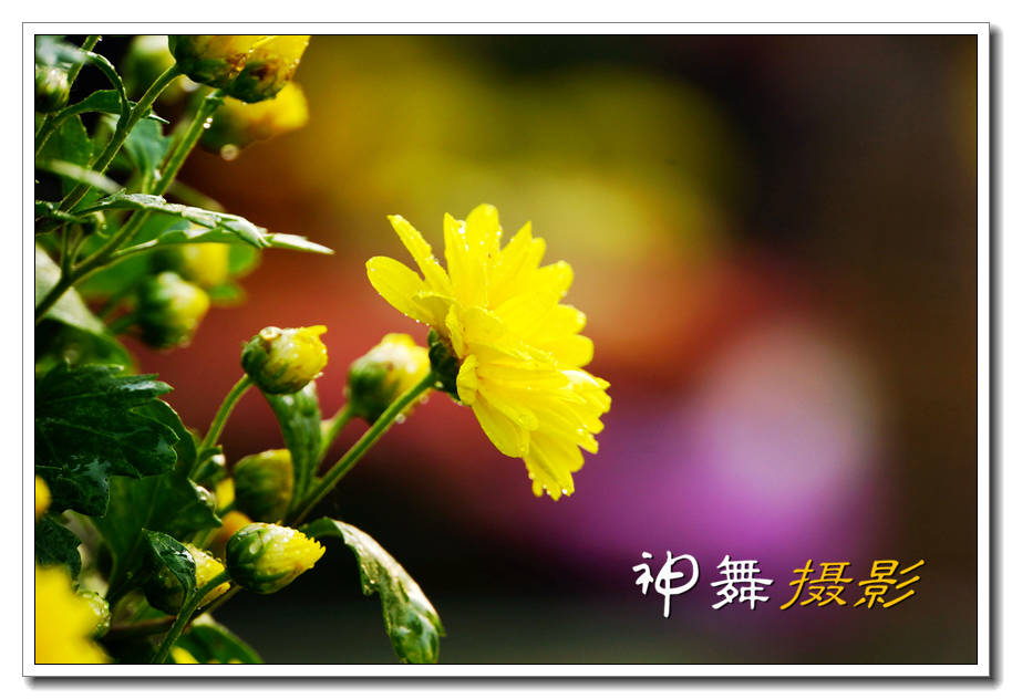 DSC01033_副本.jpg