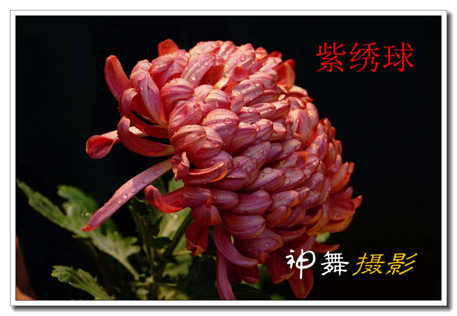 DSC01093_副本.jpg