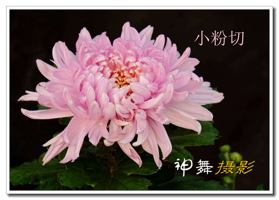 DSC01345_副本_副本.jpg